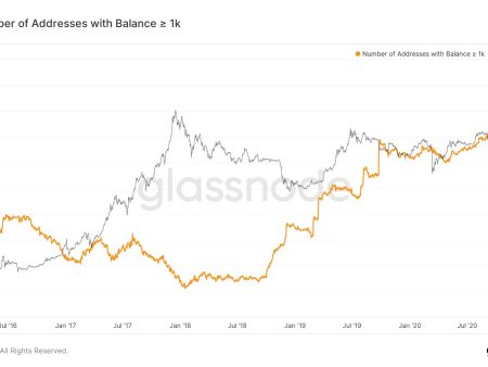 Bitcoin Fiyatlarındaki Son Dalgalanmaları Anlamak