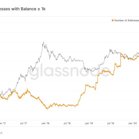Bitcoin Fiyatlarındaki Son Dalgalanmaları Anlamak