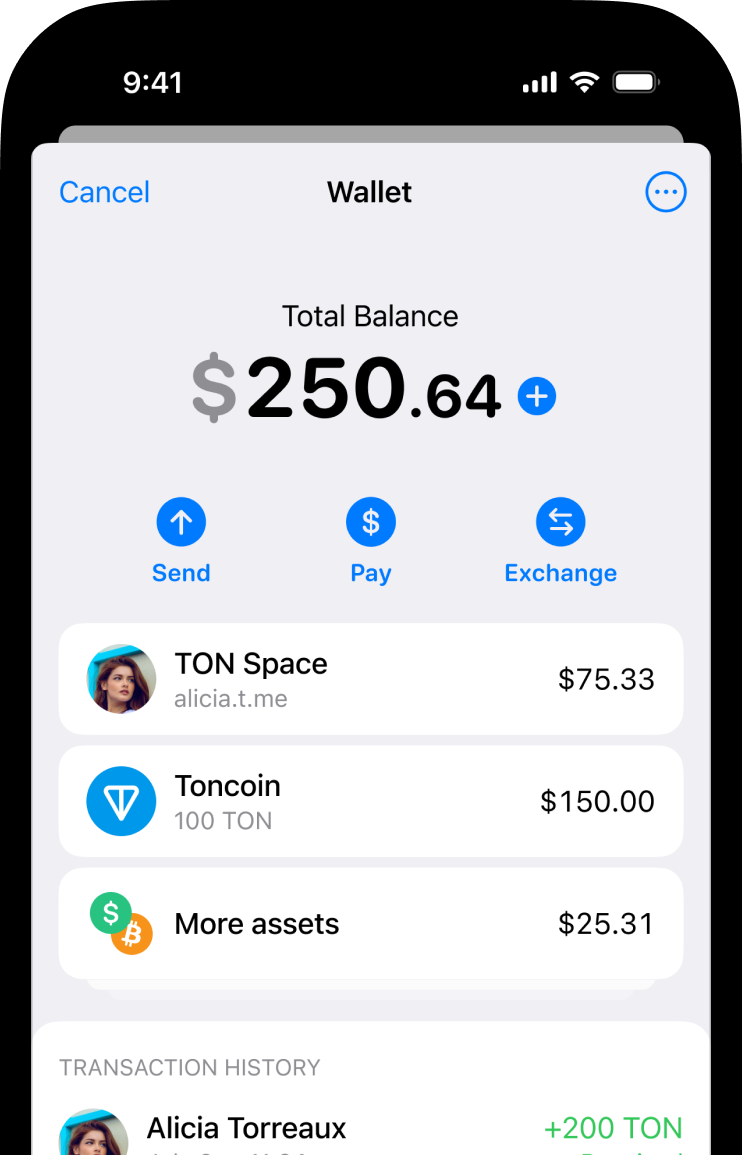 ton coin