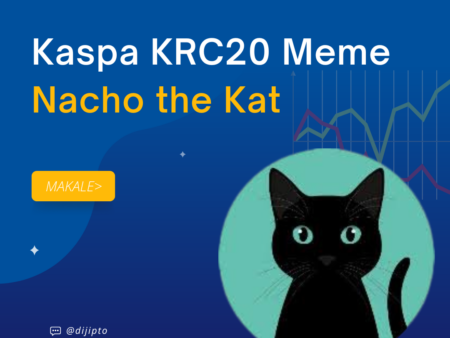 Nacho Coin: Kaspa KRC20 Ekosisteminin Öncü Yıldızı
