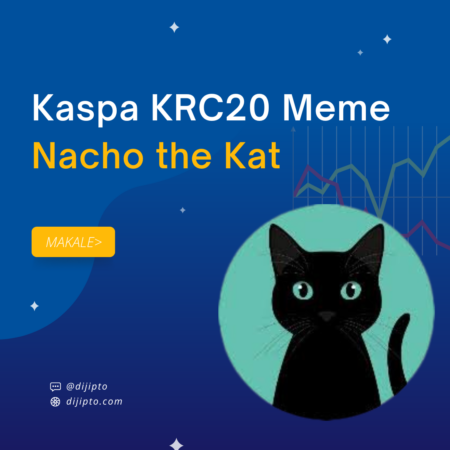 Nacho Coin: Kaspa KRC20 Ekosisteminin Öncü Yıldızı