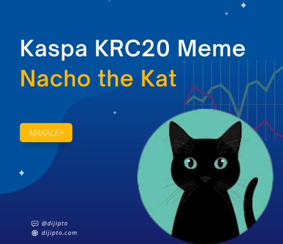 Nacho Coin: Kaspa KRC20 Ekosisteminin Öncü Yıldızı